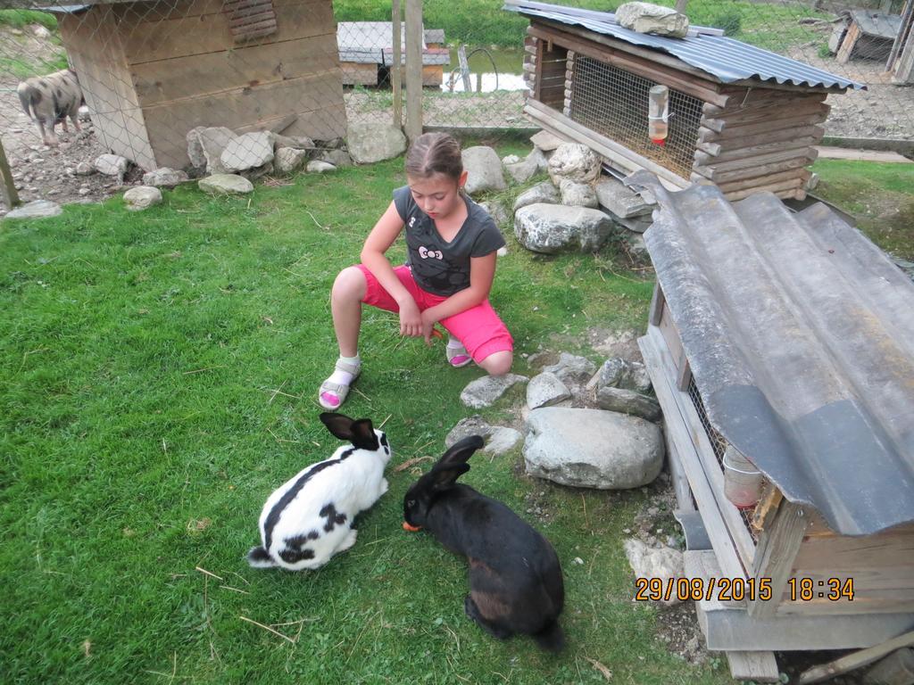 Hotel Hammerwirt - Forellenhof Untertauern Luaran gambar