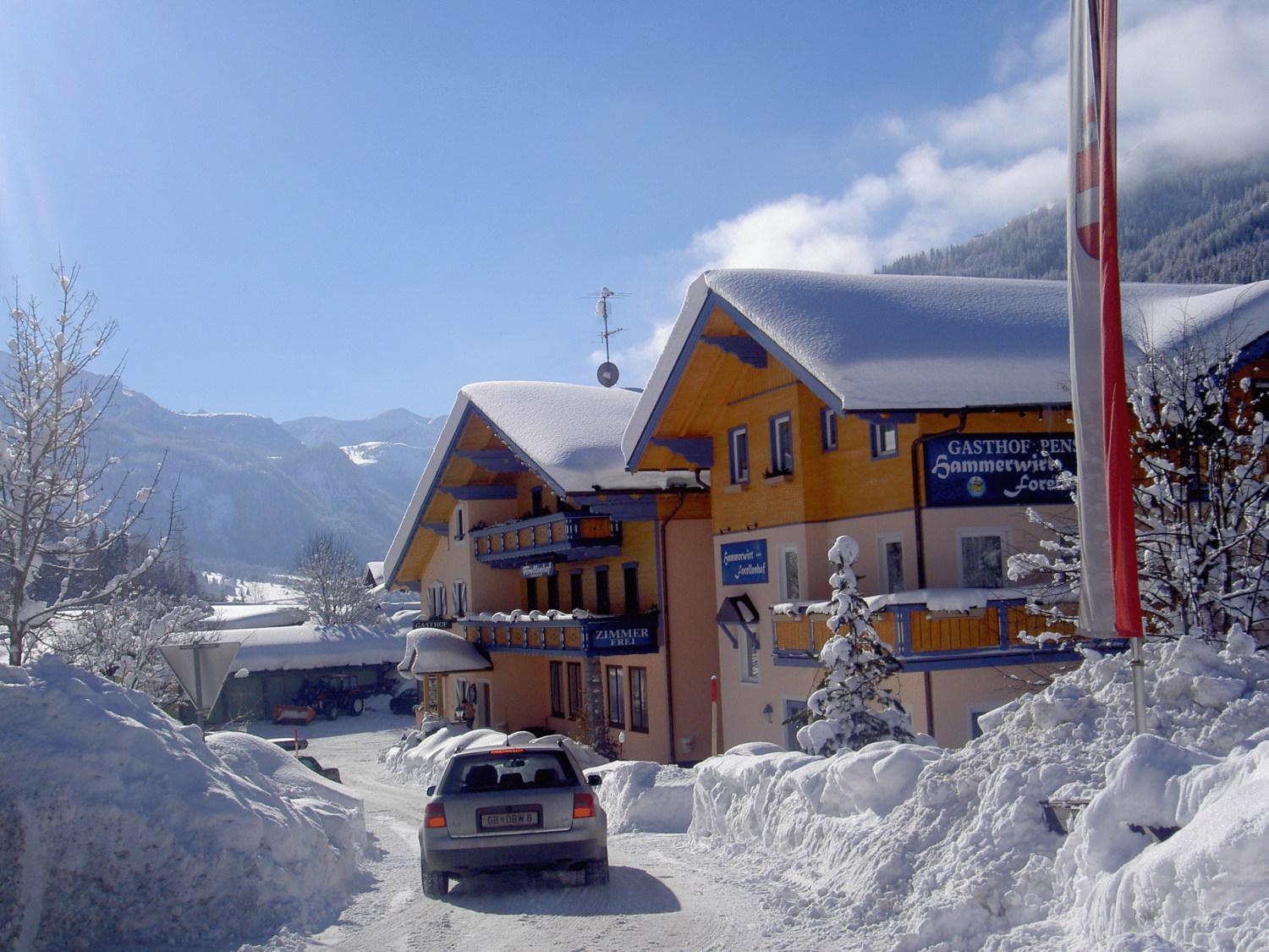 Hotel Hammerwirt - Forellenhof Untertauern Luaran gambar