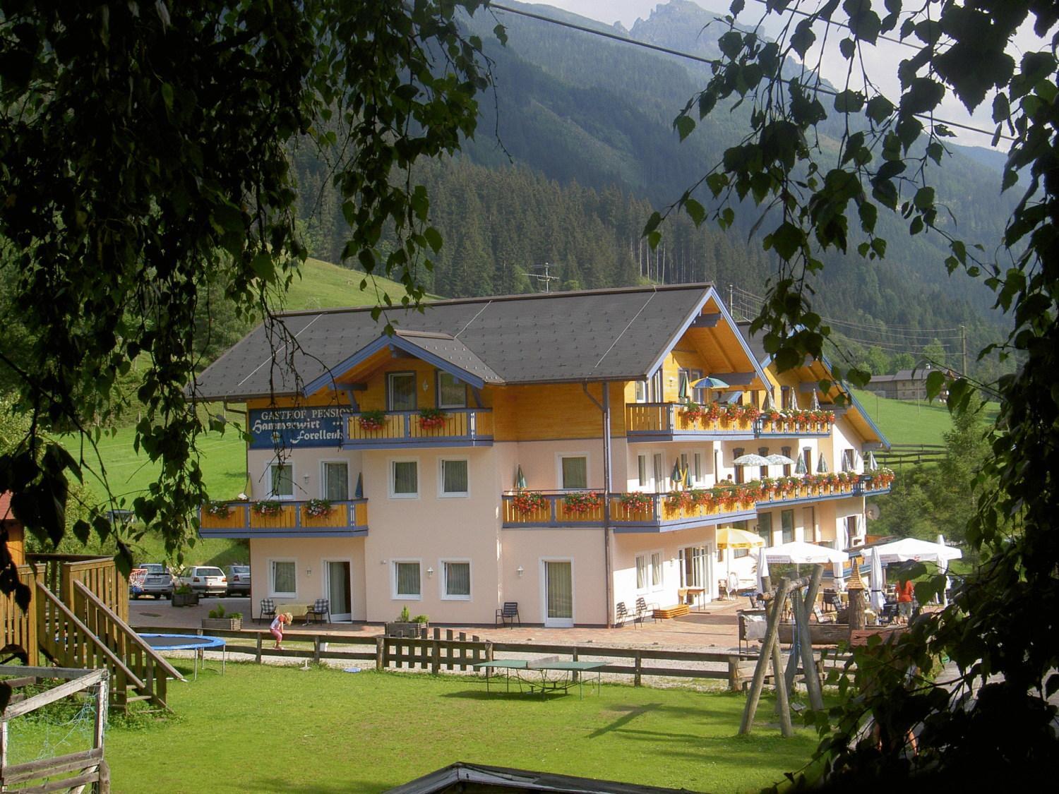 Hotel Hammerwirt - Forellenhof Untertauern Luaran gambar