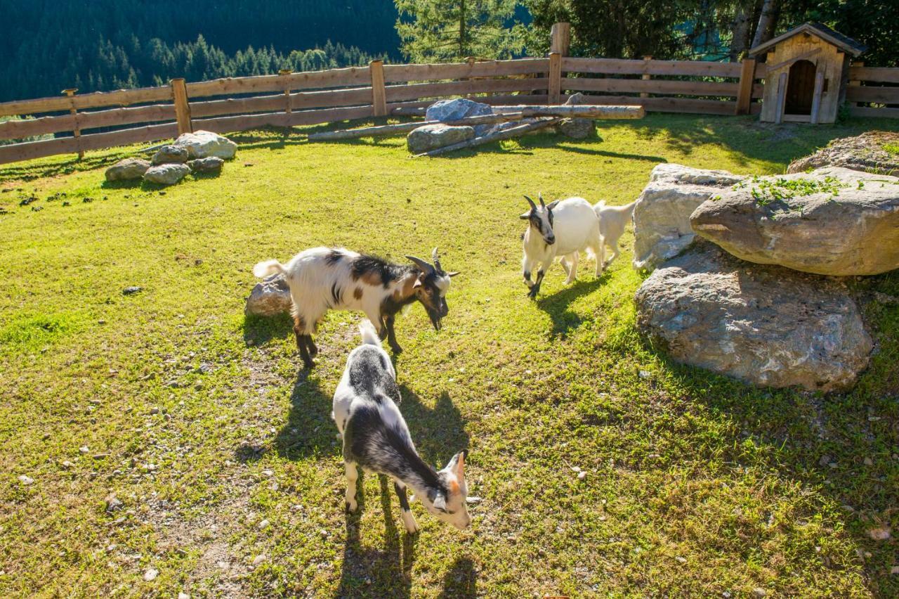 Hotel Hammerwirt - Forellenhof Untertauern Luaran gambar