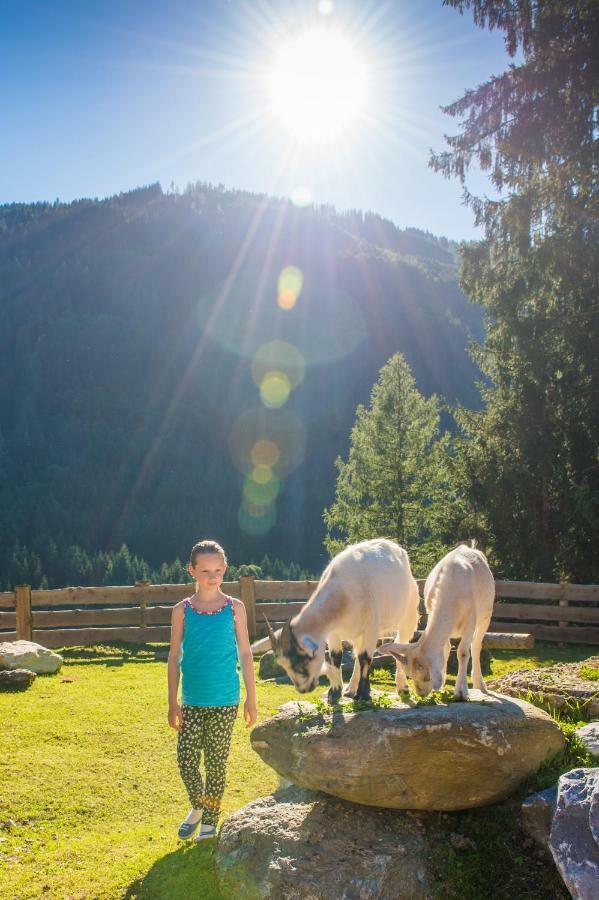 Hotel Hammerwirt - Forellenhof Untertauern Luaran gambar